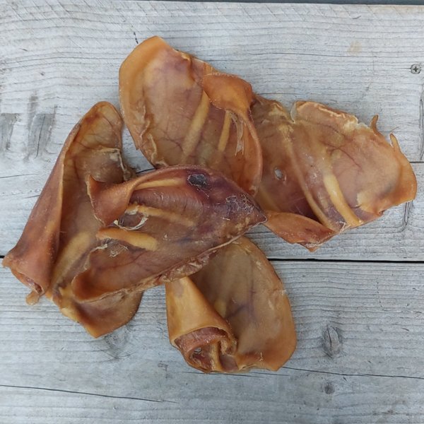 Varkensoren 11 stuks