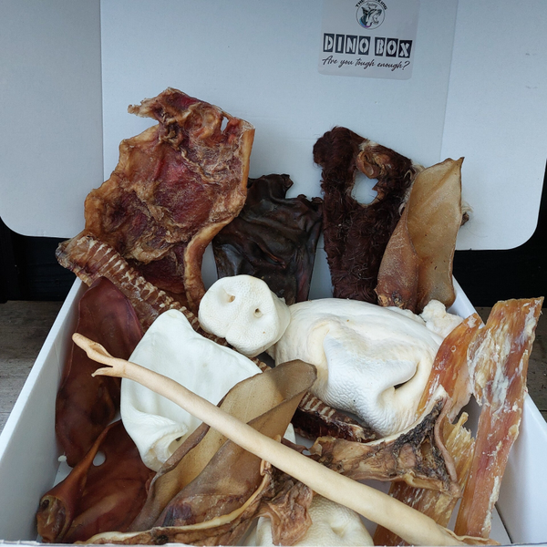 Snackpakket DINO