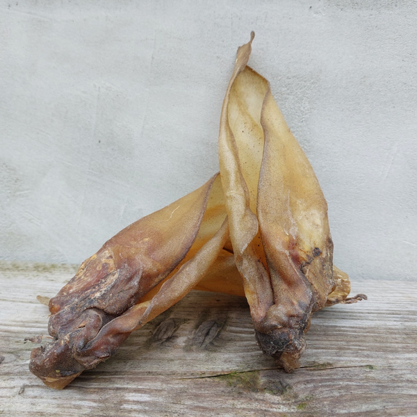 Buffeloren met pit 25 stuks