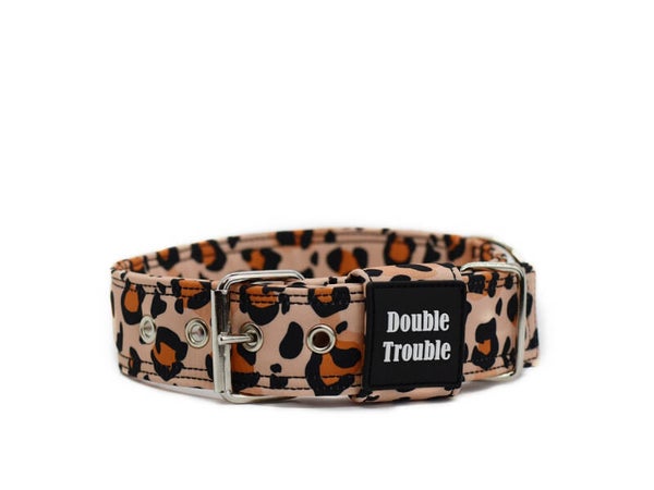 Collar PREMIUM- leopard