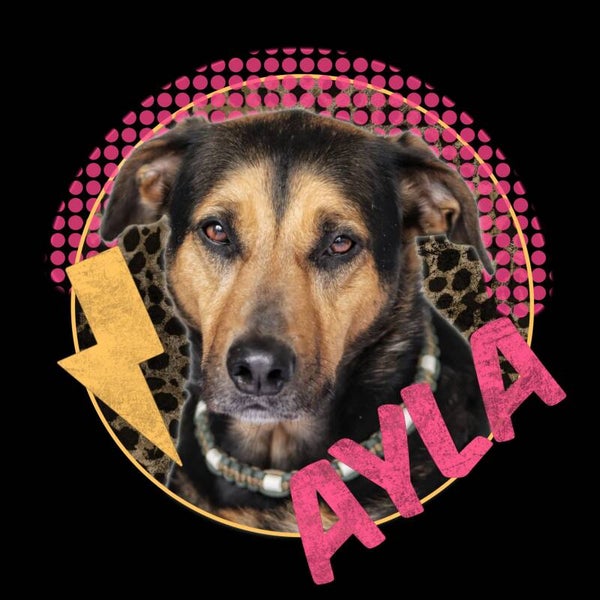 Foto bewerking “Thunder”