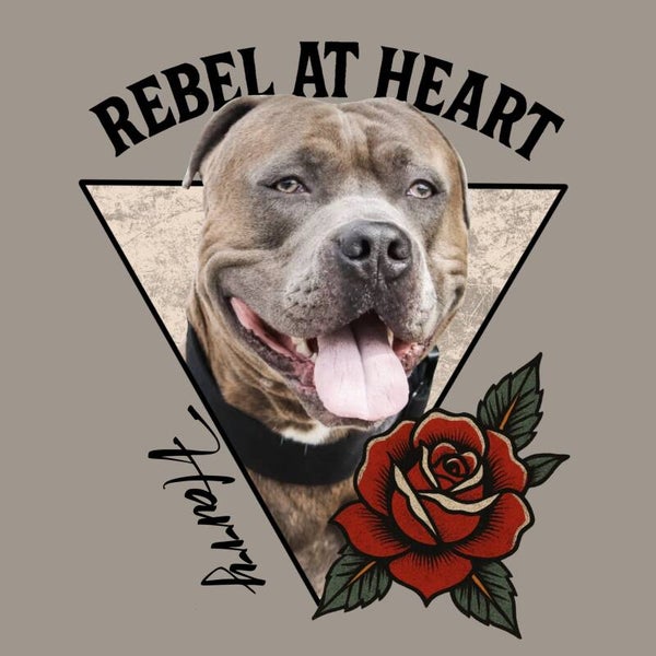 Foto bewerking “Rebel”