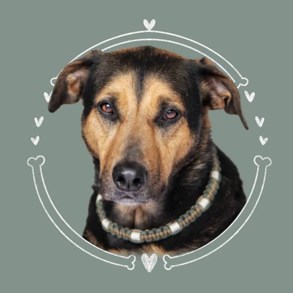 Foto bewerking “Krans”