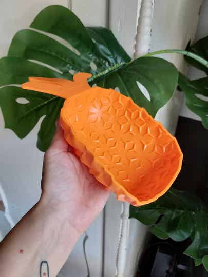 Procyon Ladimat likmat Ananas