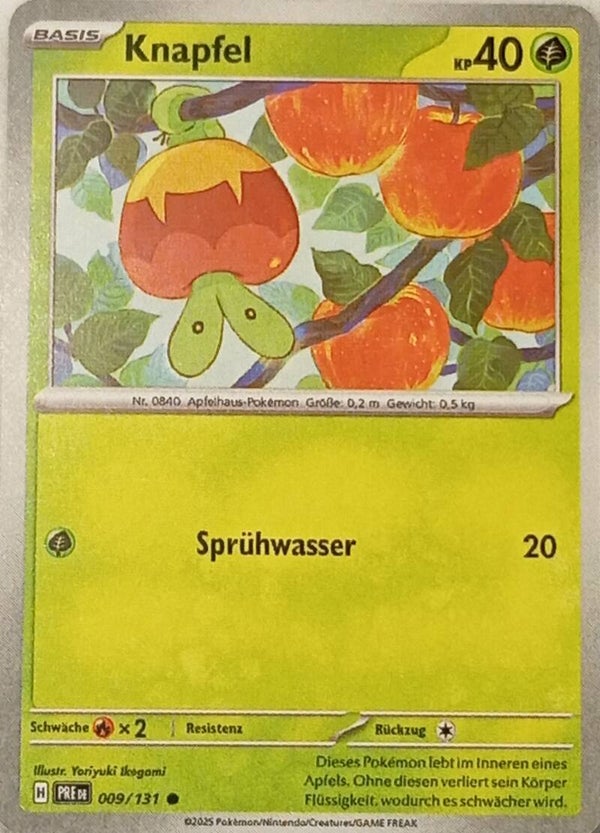 Knapfel PRE 009/131