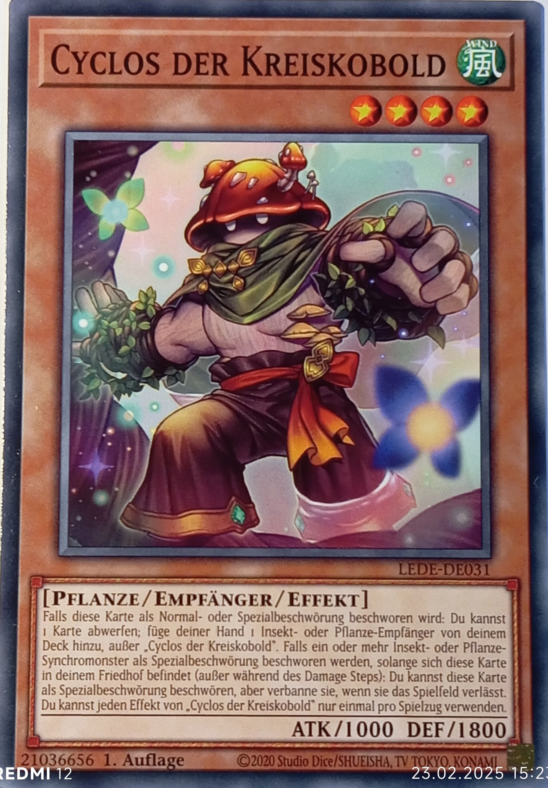 Cyclos der Kreiskobold LEDE-DE031