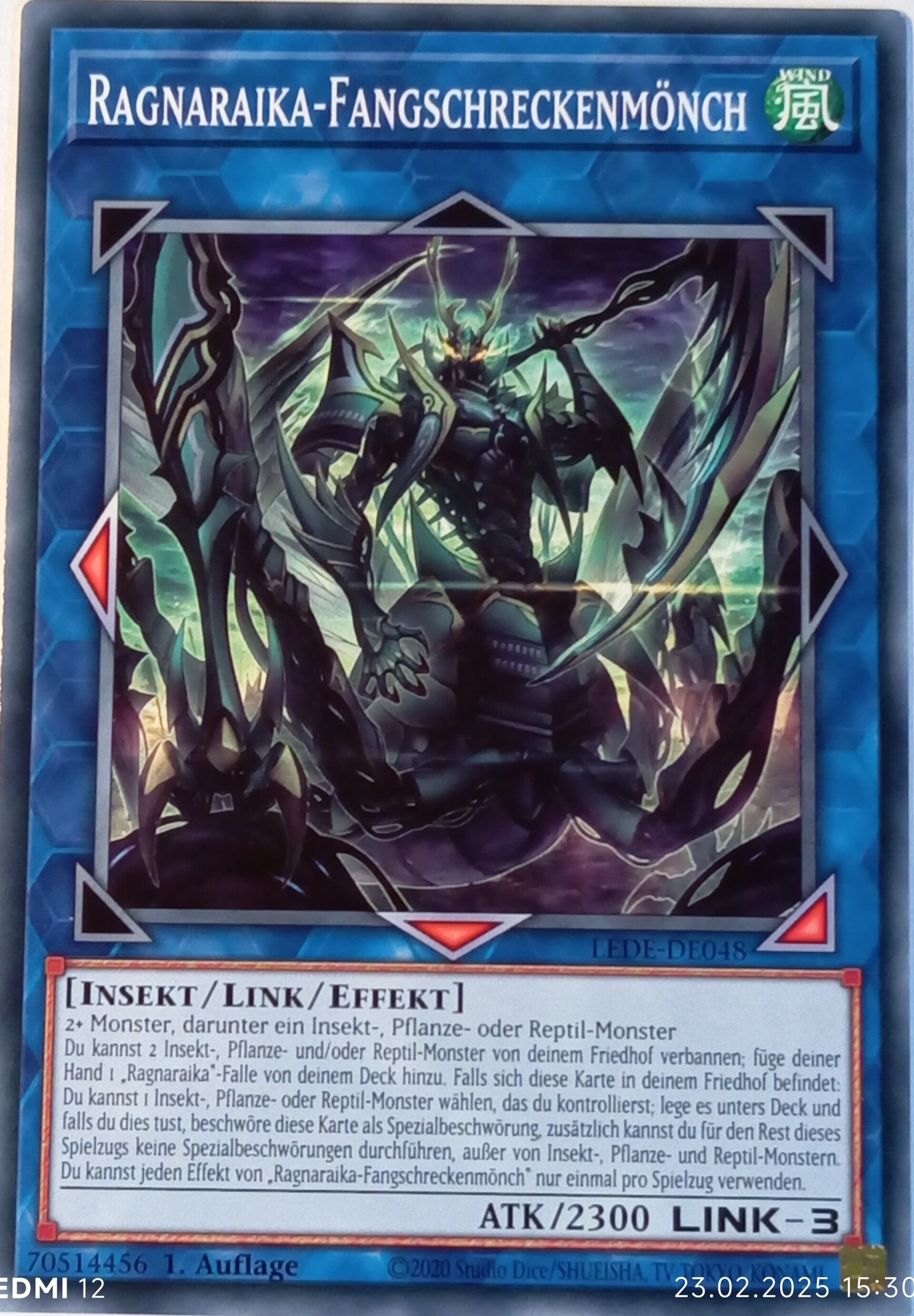 Ragnaraika Fangschreckenmönch LEDE-DE048