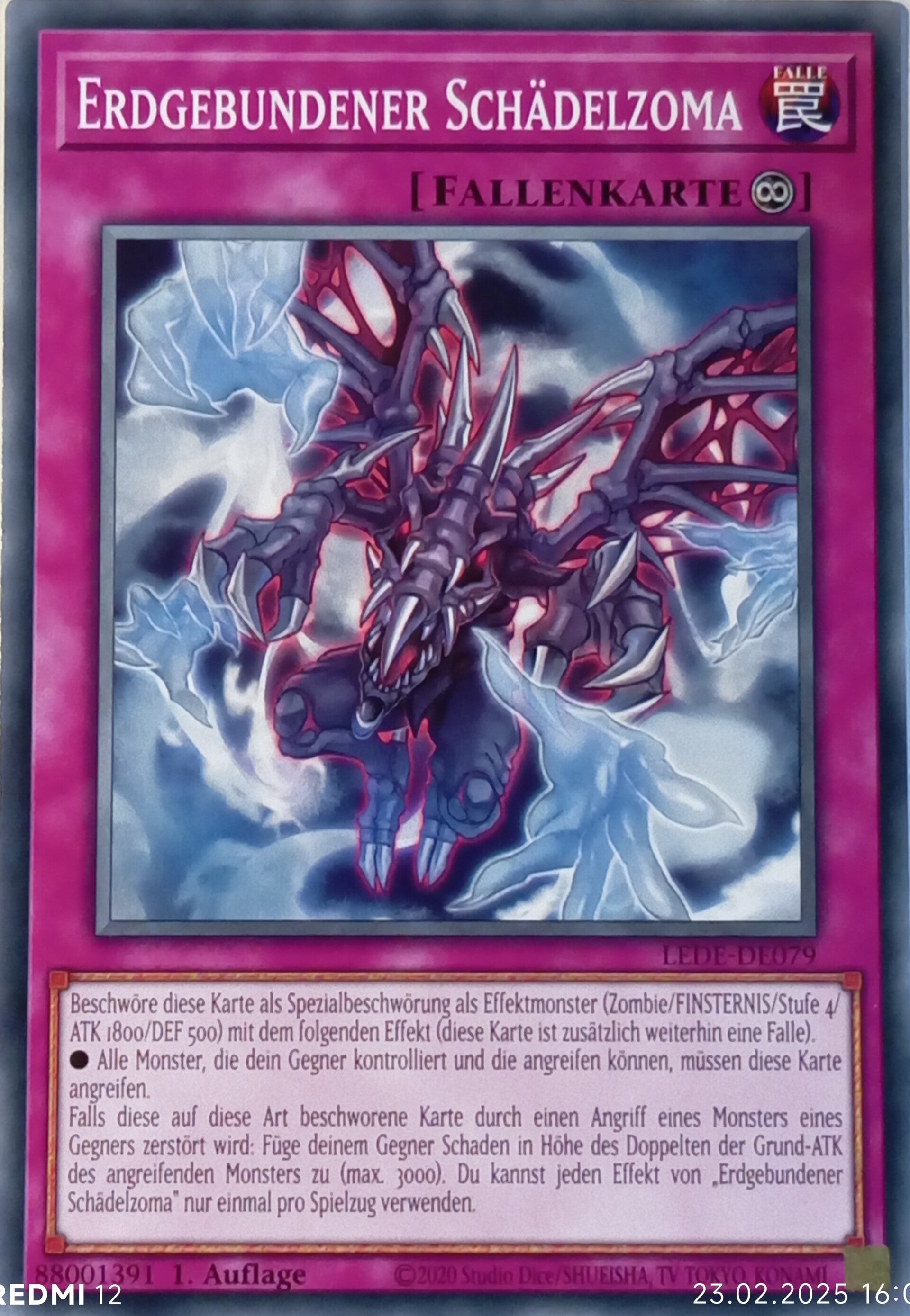 Erdgebundener Schädelzoma LEDE-DE079