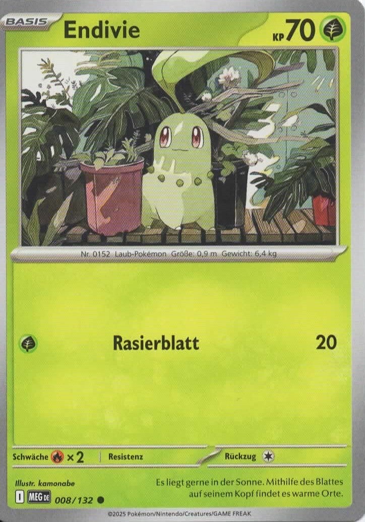 Endivie 008/132