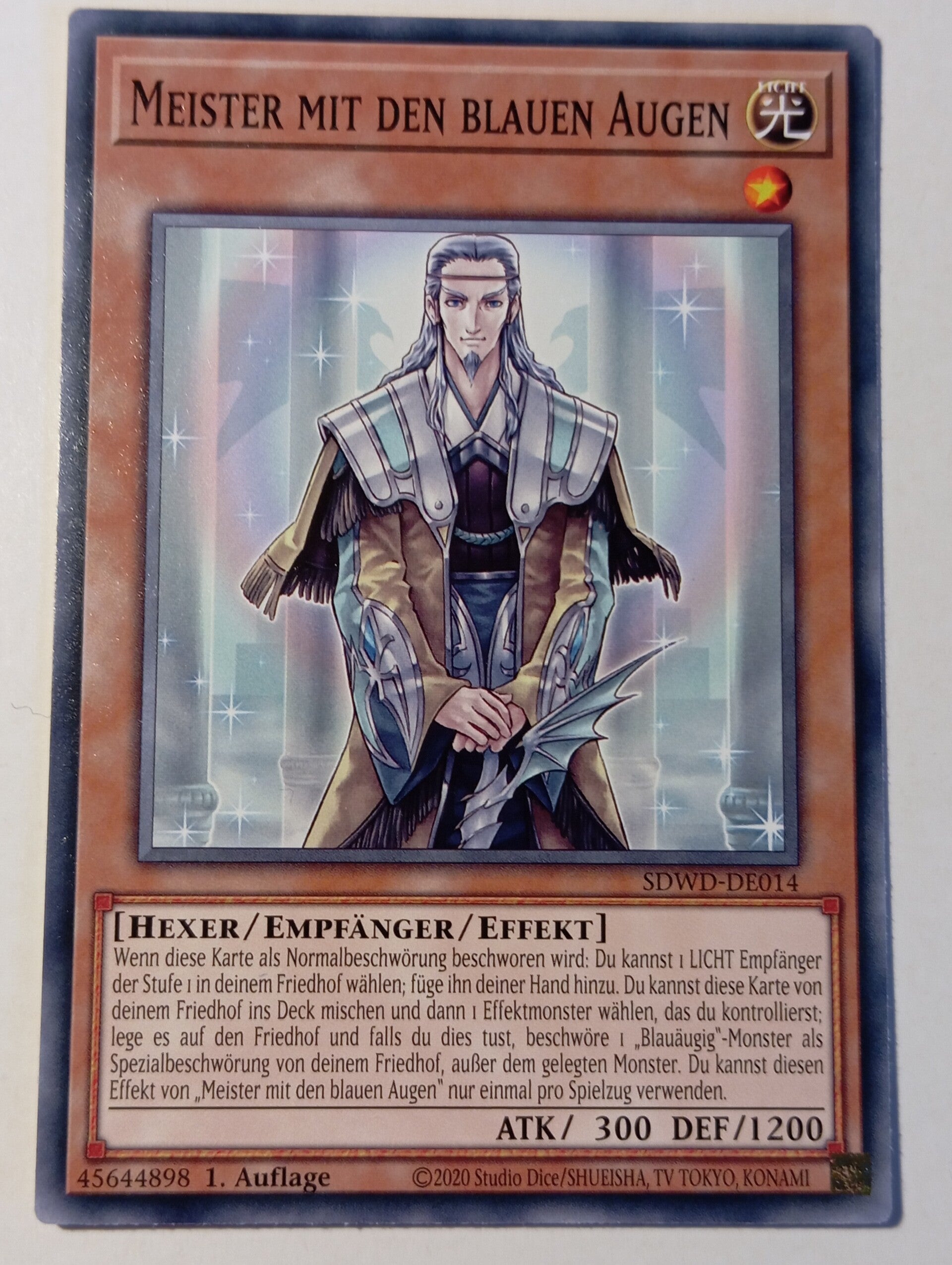 Meister mit den blauen Augen - SDWD-DE014