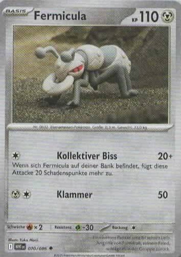 Fermicula WHT-070/086