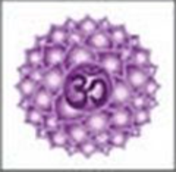 Kruinchakra (Sahasrara)