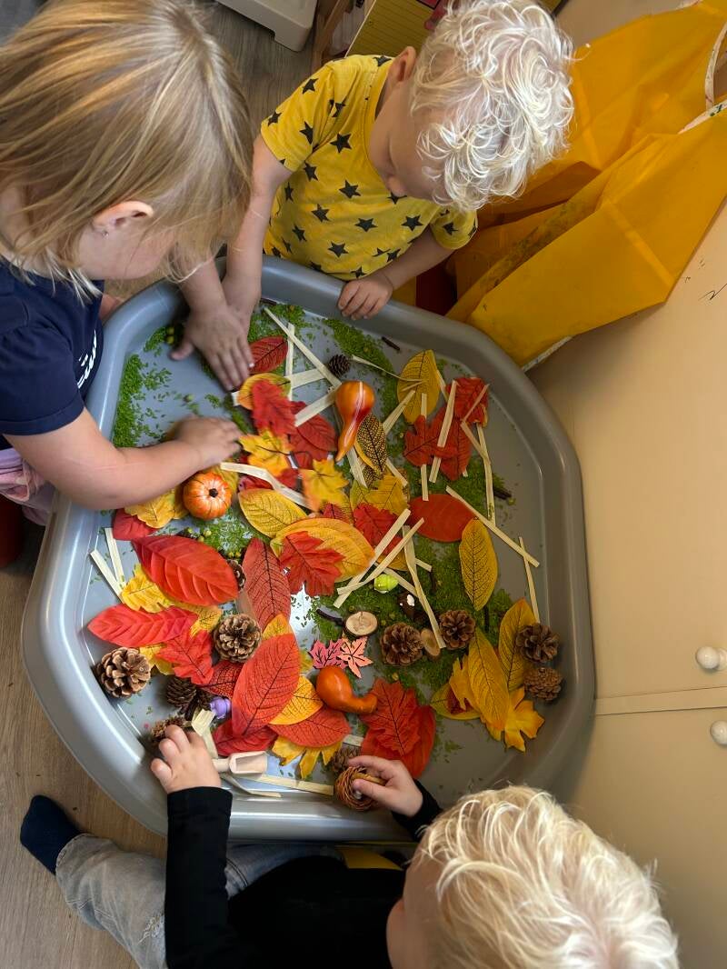     Herfst tuff tray voor peuters bij kleinschalige kinderopvang in Enkhuizen