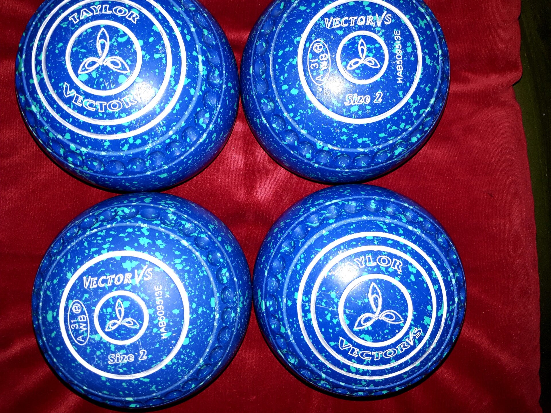 Taylor Vector VS bowls -- Size 2