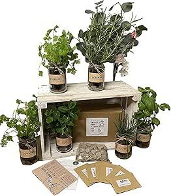 Set of 3: Indoor Herb Garden in Jars Rustic Grow Your Own Kit