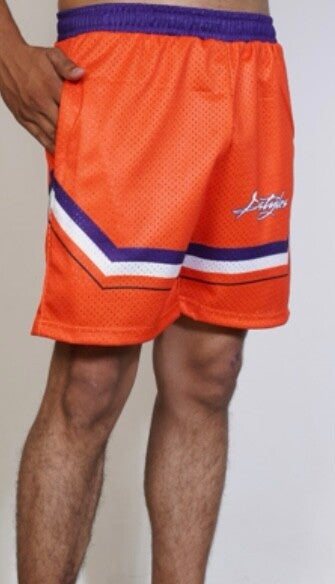 “ The HomeTown Collection Shorts “