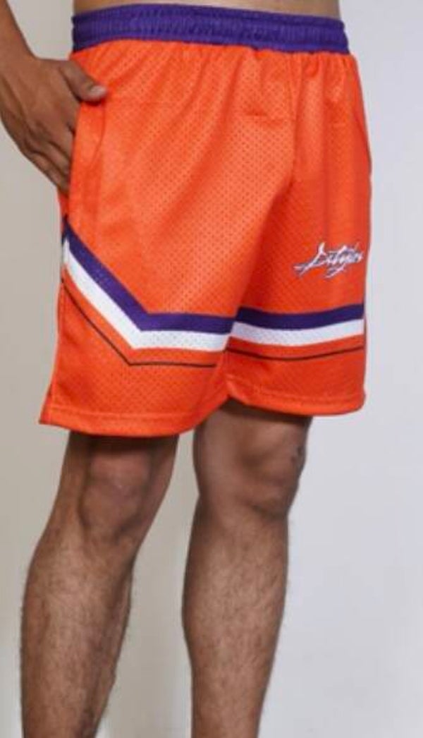 “ The HomeTown Collection Shorts “