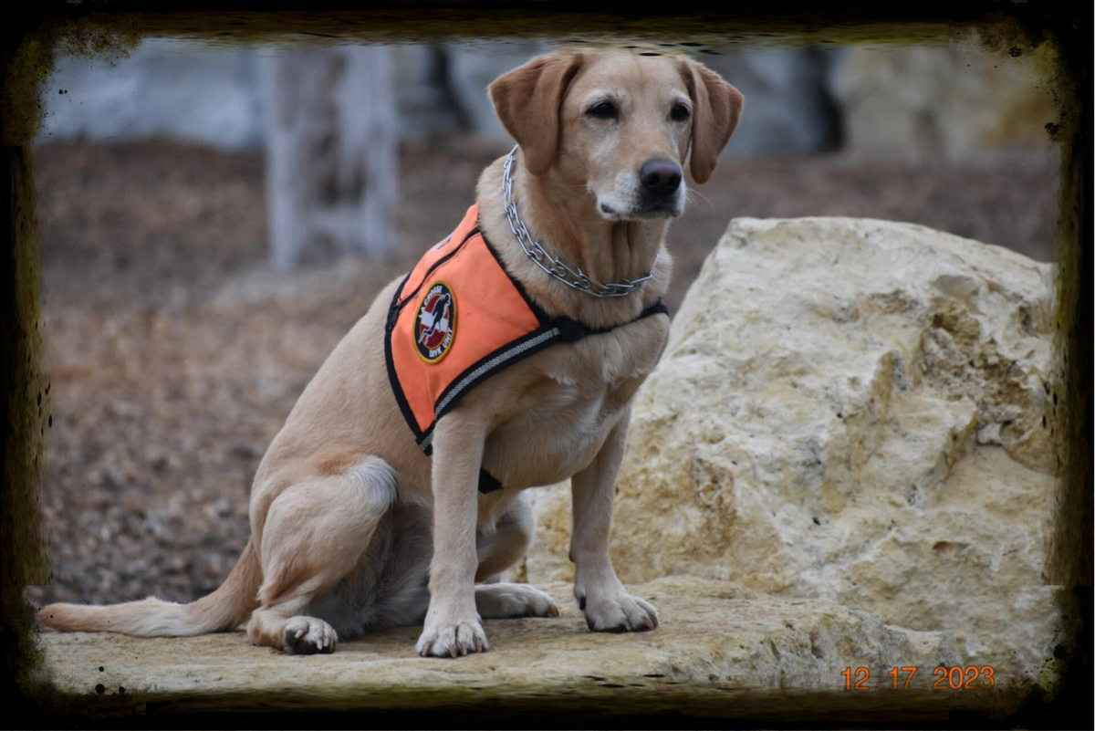 In Memory Of | Minnesota-Wisconsin K9 Search and Rescue