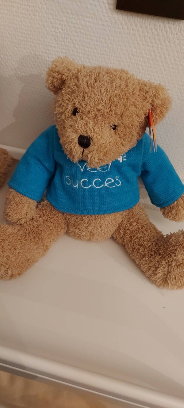 Beertje pulletje "veel succes"