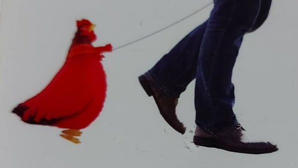 Walking cock balloon