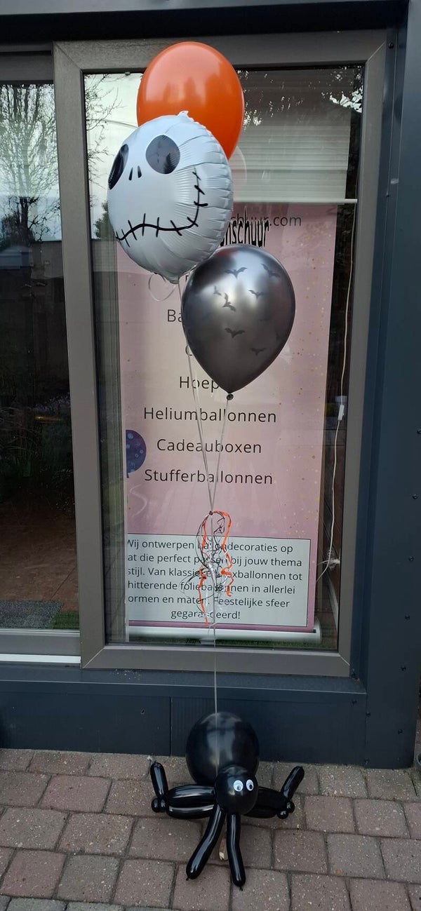 Halloween met een spin