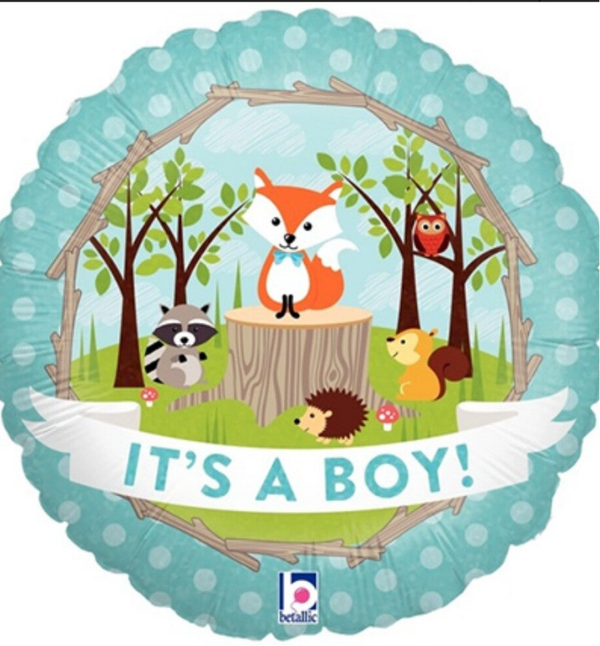 It's a boy! Woodland