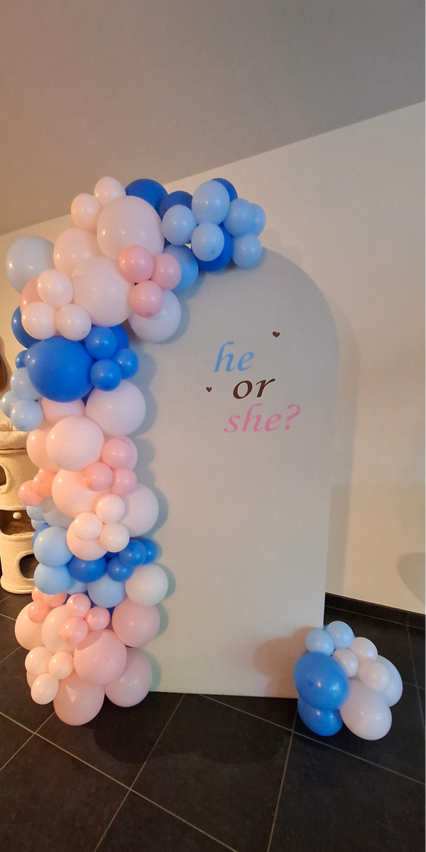 Backdrop " he or she"