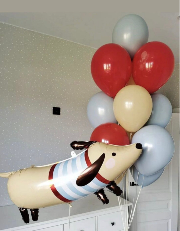 Heliumboeket met teckel