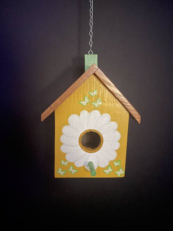 #3 exterior pine birdhouses with paintings