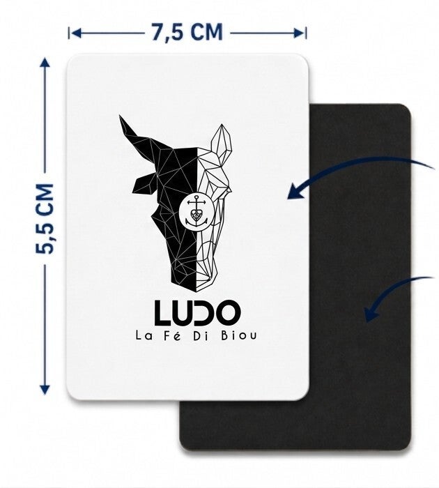 Magnet Rectangulaire Rigide (7,5 x 5,5 cm) – Collection "ludo La Fé Di Biou"