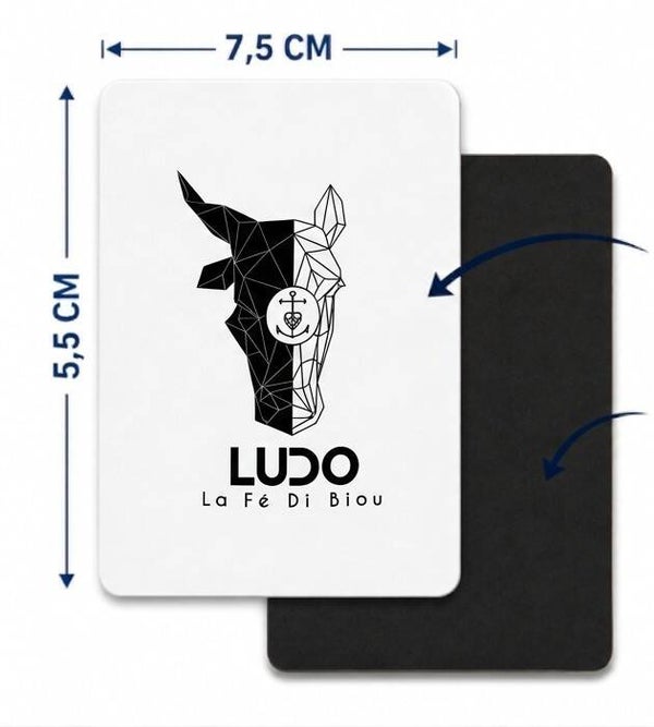 Magnet Rectangulaire Rigide (7,5 x 5,5 cm) – Collection "ludo La Fé Di Biou"