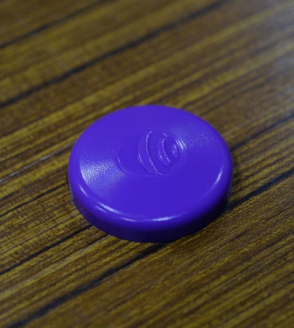 La Paloch' - Palet Violet