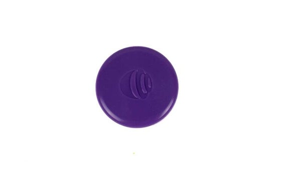 La Paloch' - Palet Violet