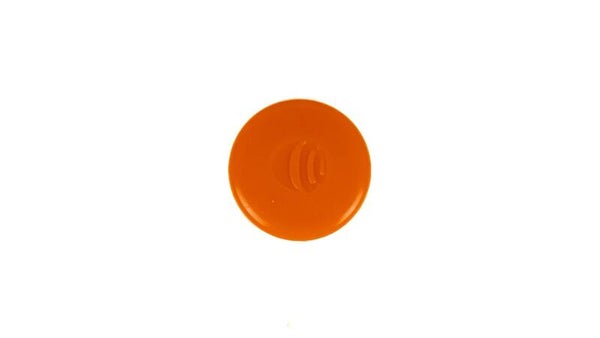 La Paloch' - Palet Orange