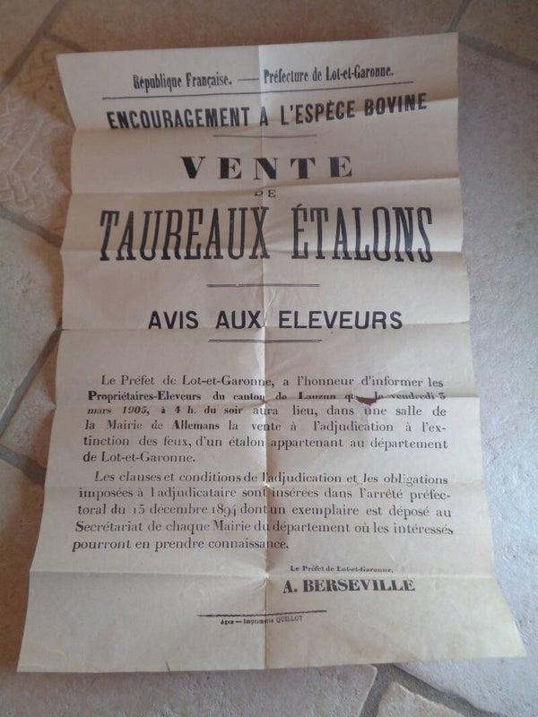 Cu2370 : Affiche vente bovine 1900