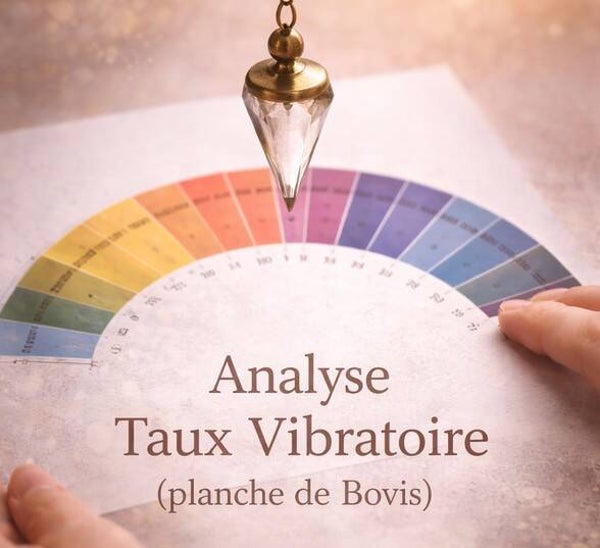 Analyse du taux vibratoire – Mesure énergétique (Planche de Bovis)