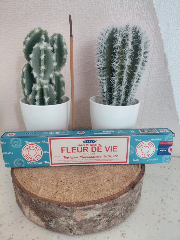 💙 Encens Nag Champa « Fleur de Vie » (Copie)