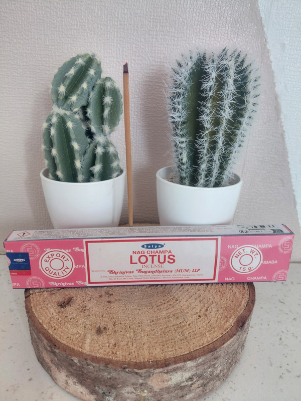🩷 Encens Nag Champa « Lotus »