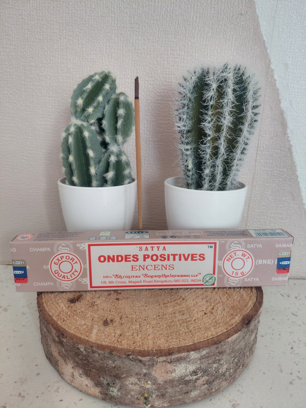 🤍 Encens « Ondes Positives »