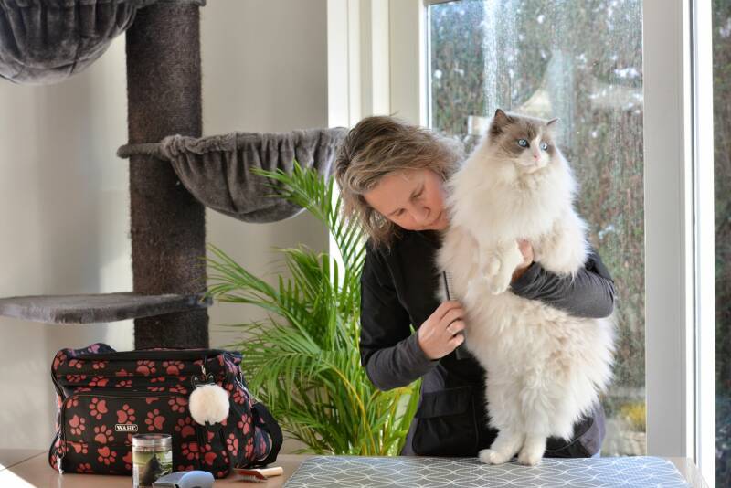 Kattentrimsalon Ilse regio Bergen op Zoom/Tholen/Woensdrecht/Roosendaal/Halsteren