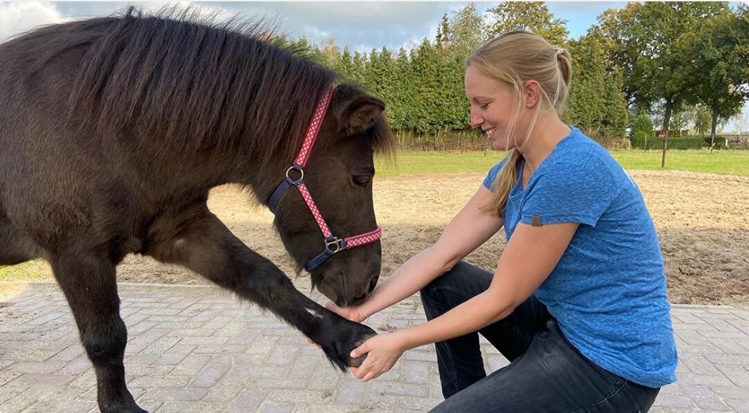 Mijn collega dierfysiotherapeut Nienke uit regio Steenbergen