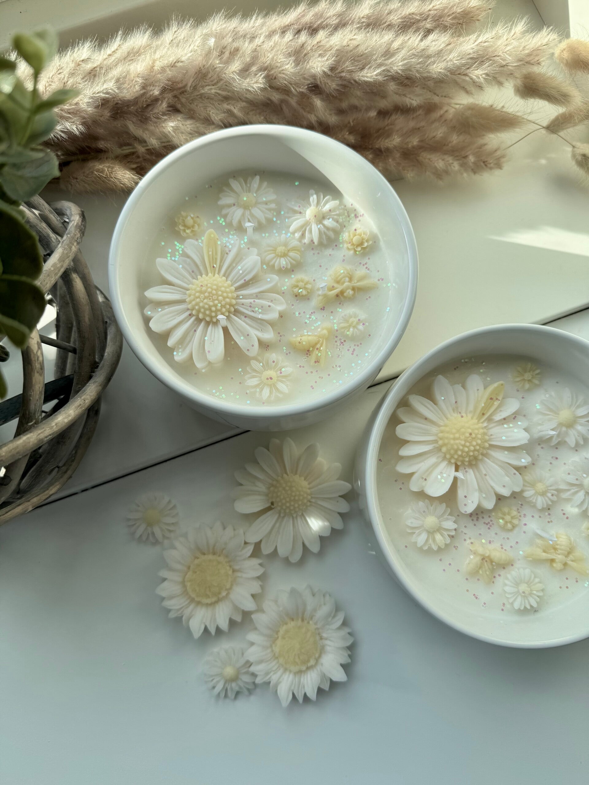 Daisy mygglys