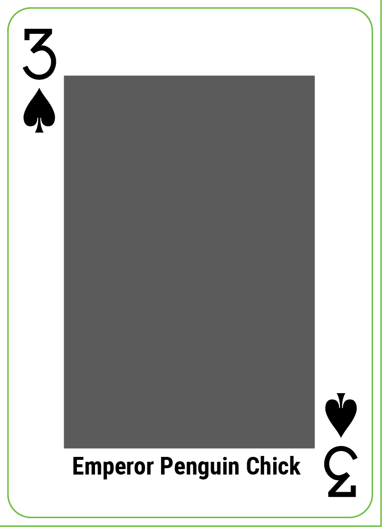 rev1_allcards_seperate_artboards_spade-3.png