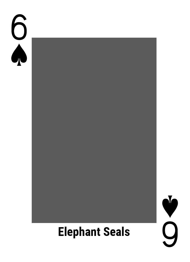 rev1_allcards_seperate_artboards_spade-6.png
