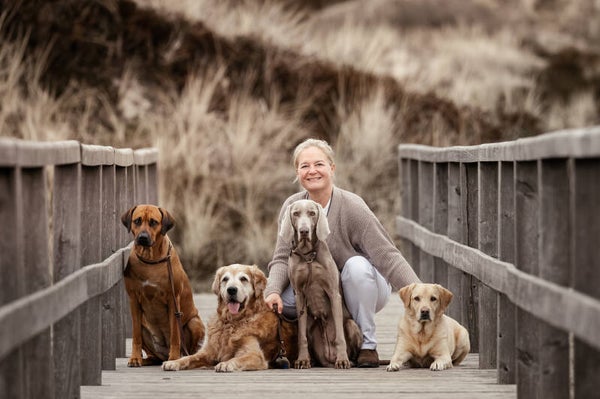 Workbook: Deine eigene Hundepension