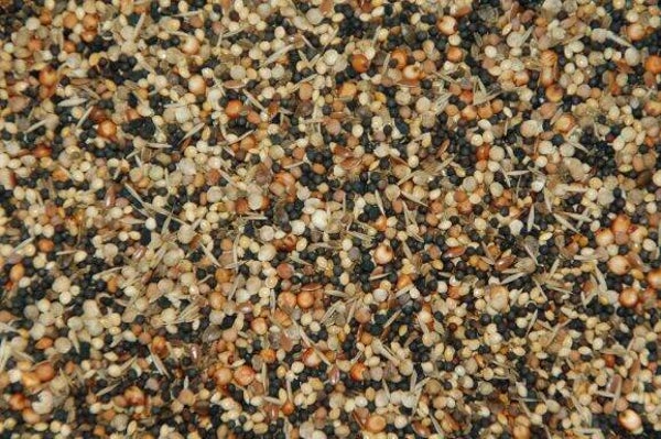 Wielink Onkruidzaad 20kg