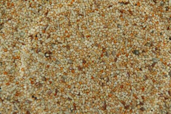 Wielink Parkietenzaad Zonder Cardy 20kg