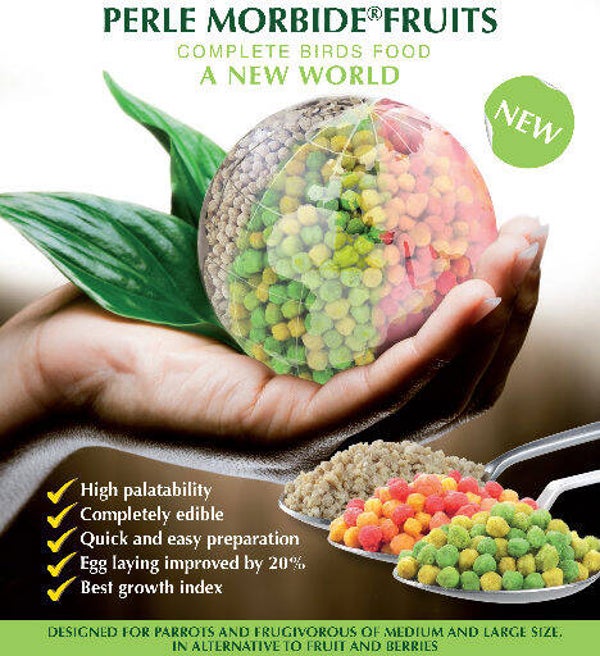 Perle Morbide Groen Fruit 800 gram Kiemzaadvervanger
