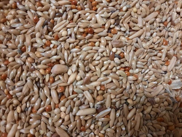 De Denakker Grasparkiet Speciaal 2,5kg