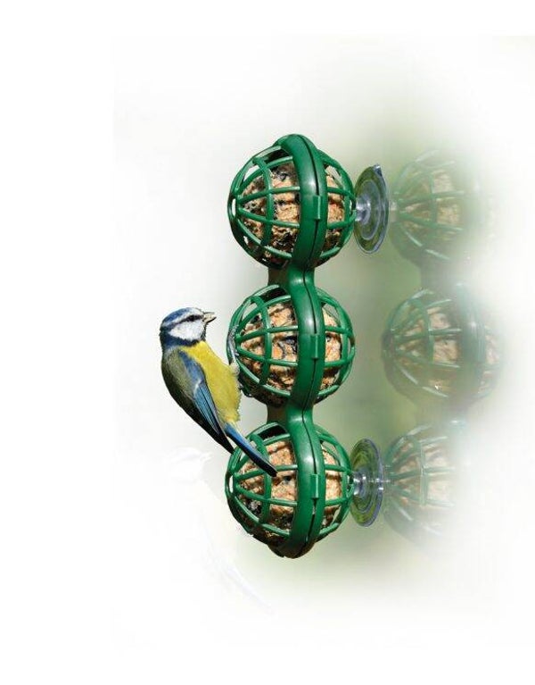 Raamfeeder voor mezenbol